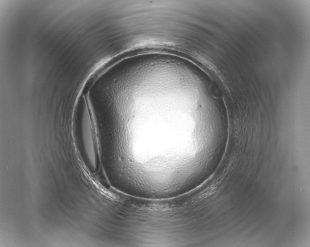 X0000060761029200512011508