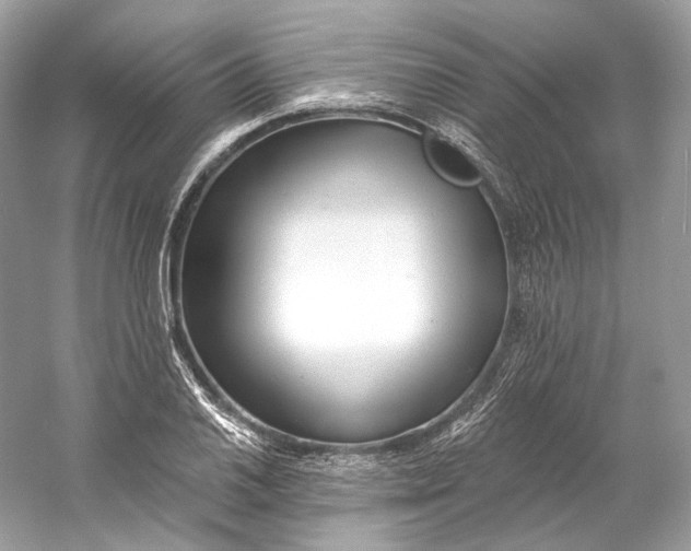 X0000060761030200512011508