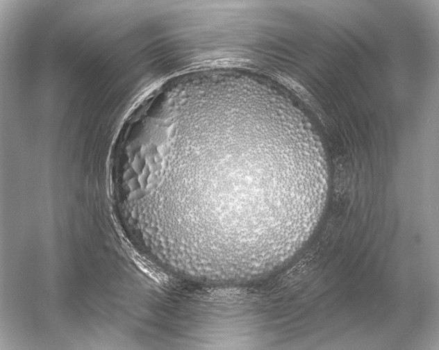 X0000060761031200512011508