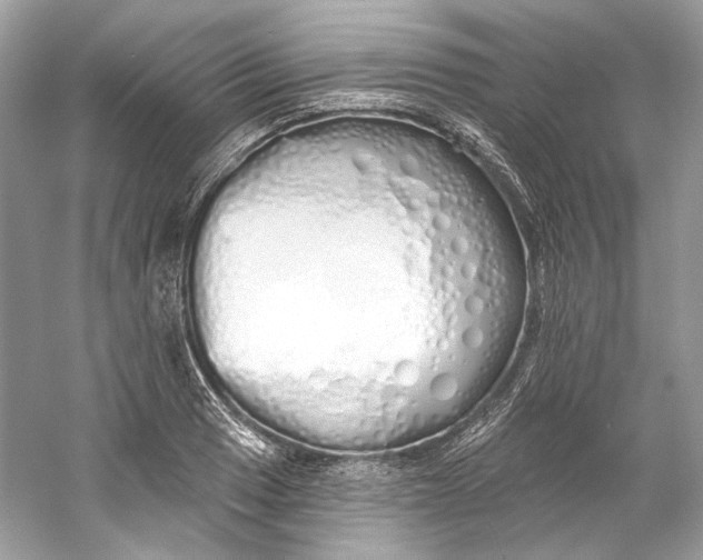X0000060761033200512011508