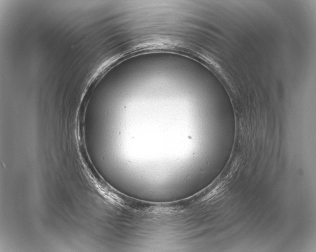 X0000060761034200512011508