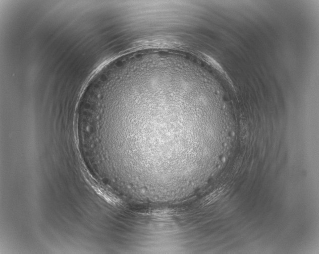 X0000060761035200512011508