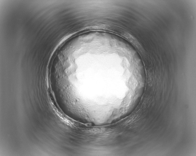 X0000060761036200512011508