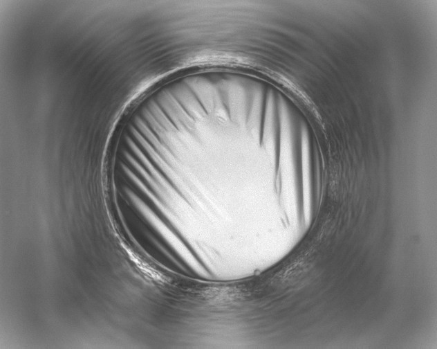 X0000060761037200512011508