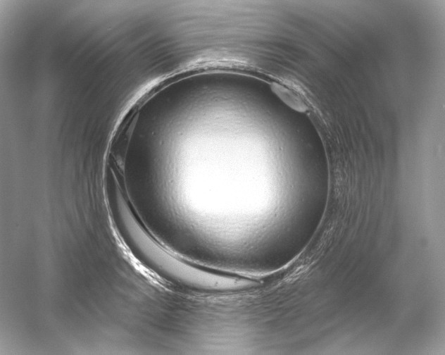 X0000060761038200512011508