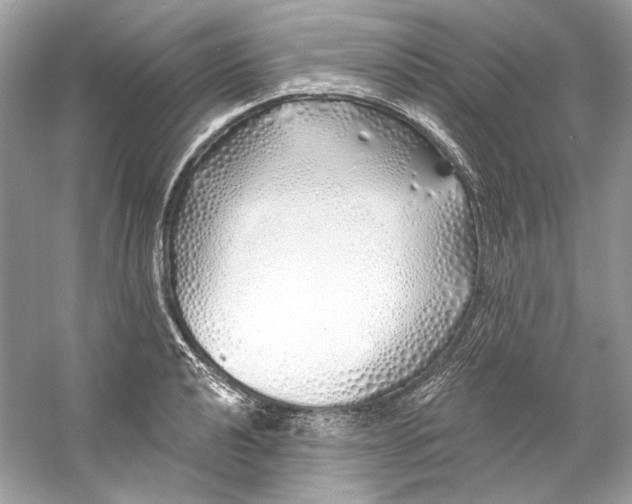 X0000060761040200512011508
