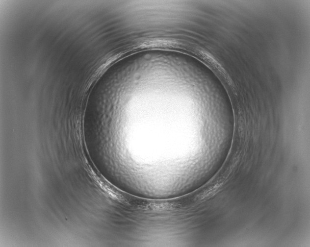 X0000060761041200512011508