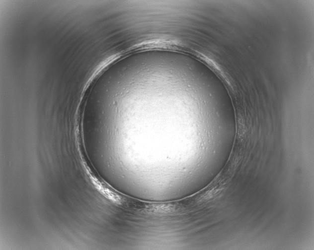 X0000060761042200512011508