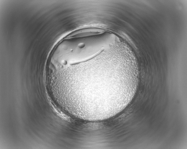 X0000060761044200512011508