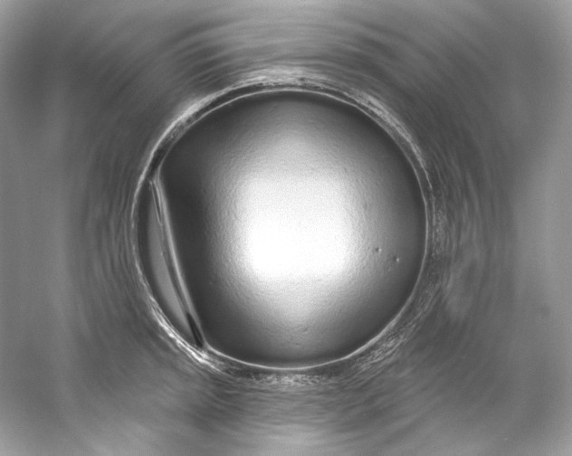 X0000060761045200512011508
