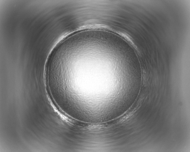 X0000060761046200512011508
