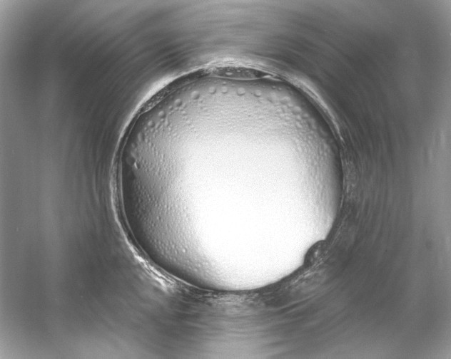 X0000060761048200512011508