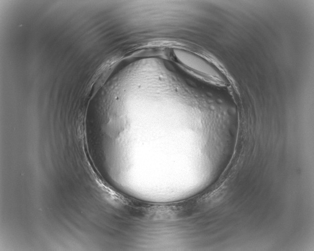 X0000060761049200512011508