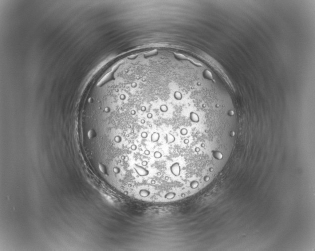 X0000060761051200512011508