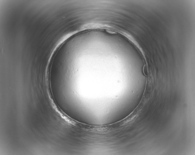 X0000060761053200512011508