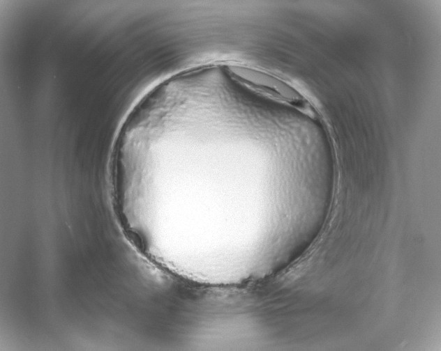 X0000060761056200512011508