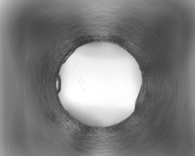 X0000060761057200512011508