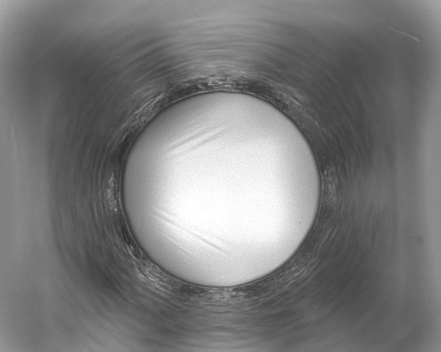 X0000060761060200512011508
