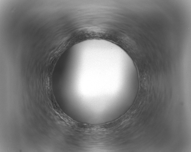 X0000060761061200512011508