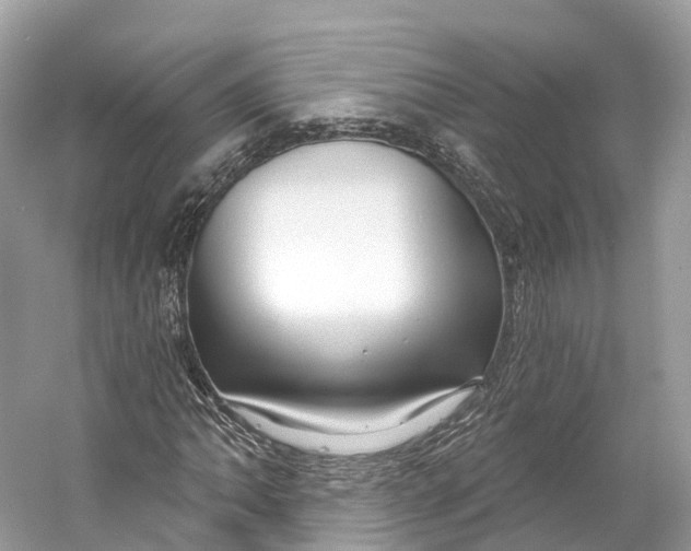 X0000060761062200512011508