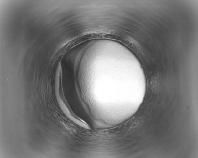 X0000060761064200512011507