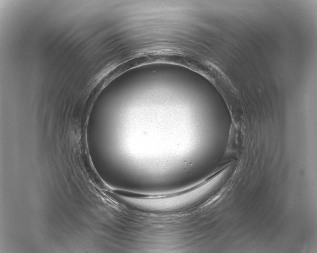 X0000060761065200512011507