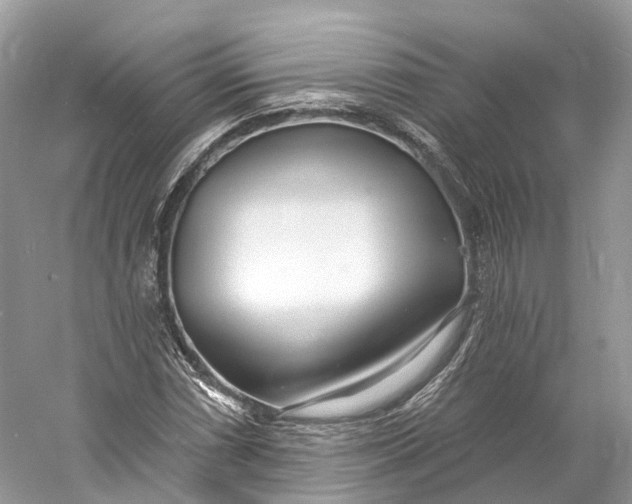 X0000060761066200512011507