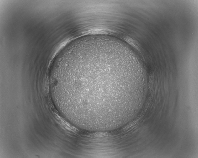 X0000060761067200512011507