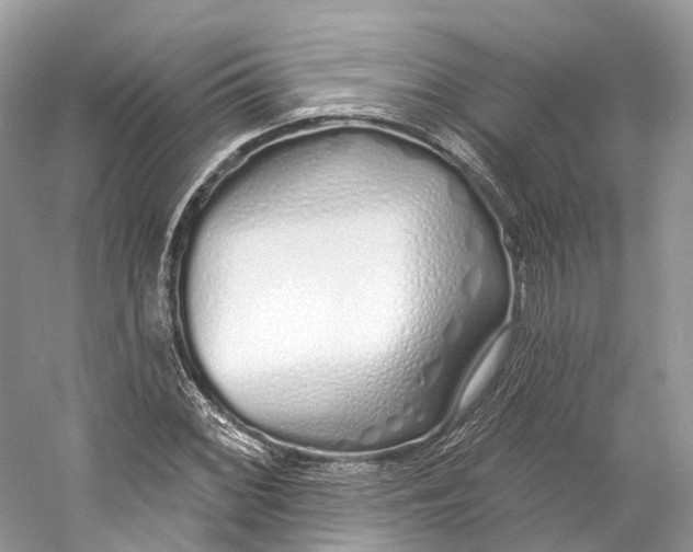 X0000060761068200512011507