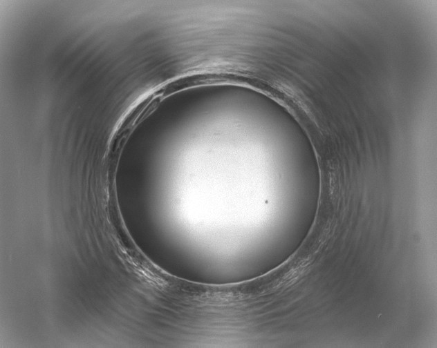 X0000060761069200512011507