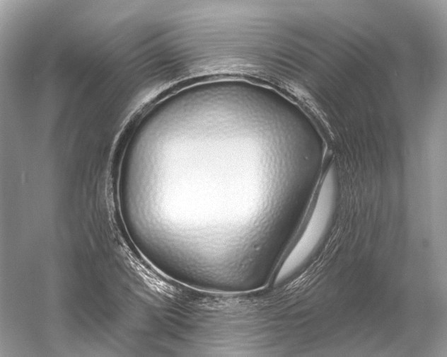 X0000060761072200512011507