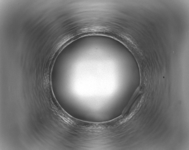 X0000060761073200512011507