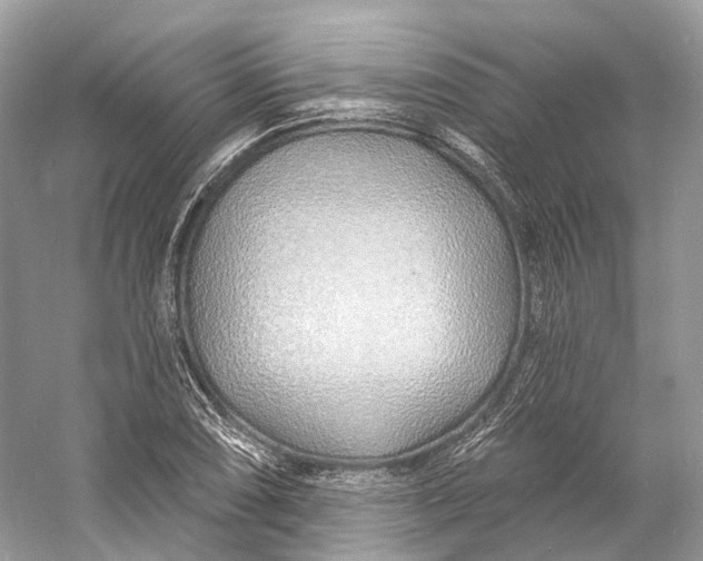 X0000060761074200512011507