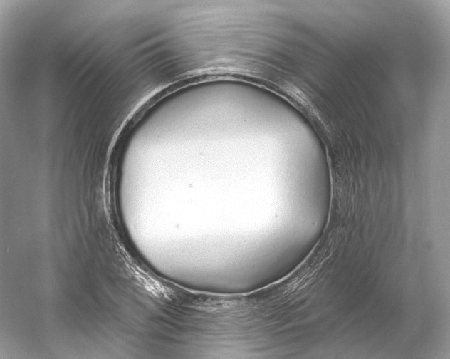 X0000060761076200512011507