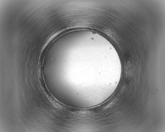 X0000060761077200512011507