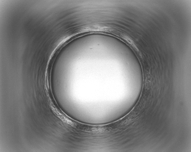 X0000060761080200512011507