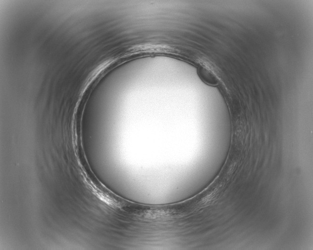 X0000060761082200512011507