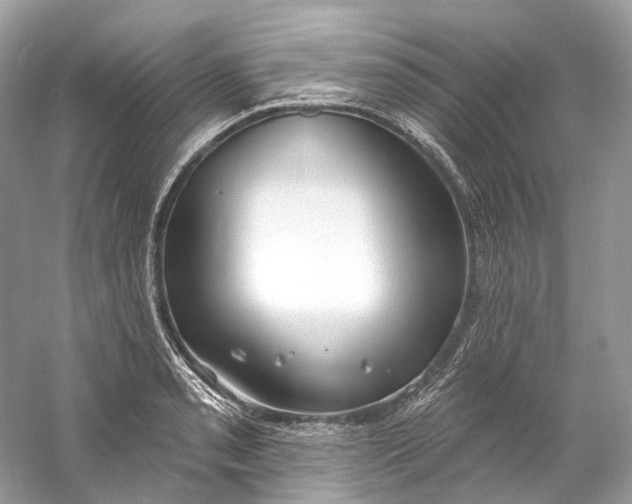 X0000060761085200512011507