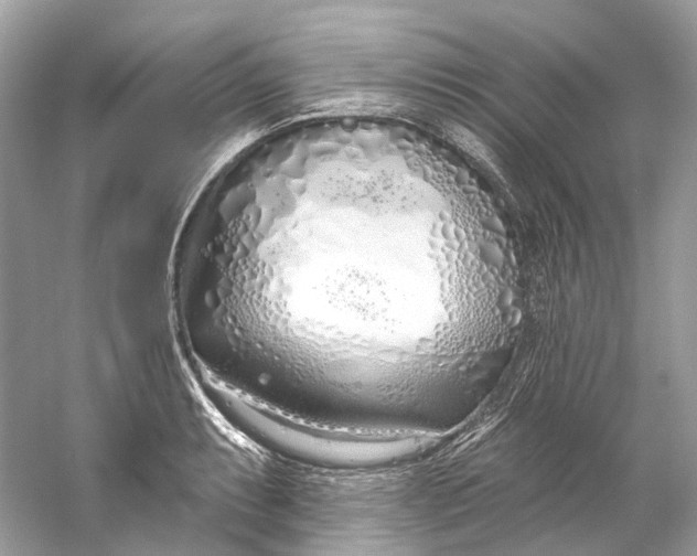 X0000060761087200512011507