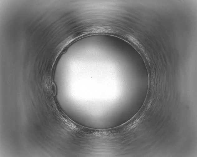 X0000060761089200512011507