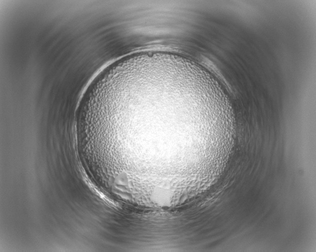 X0000060761092200512011507