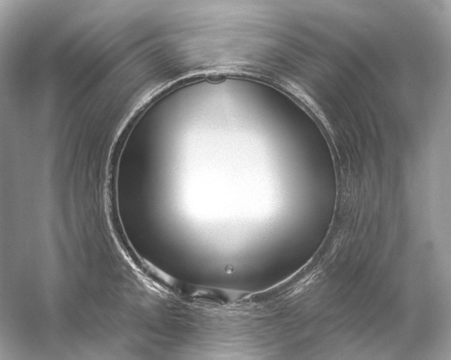 X0000060761093200512011507