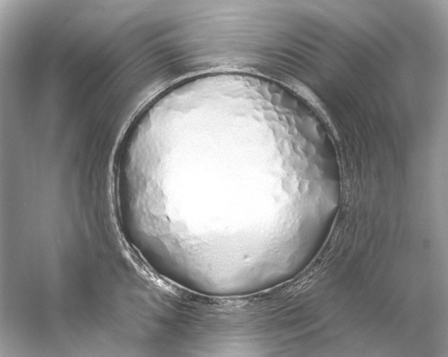 X0000060761096200512011507