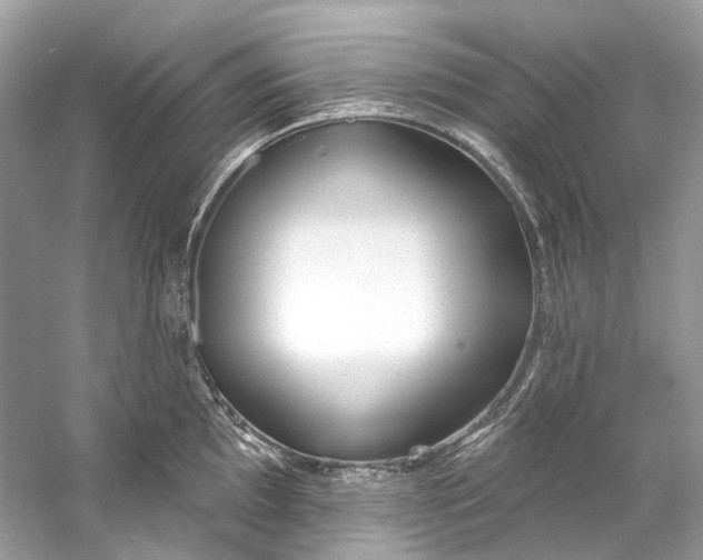 X0000060761097200512011507