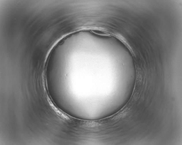 X0000060761100200512011507
