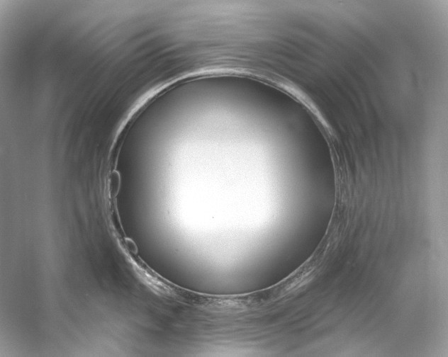 X0000060761101200512011507