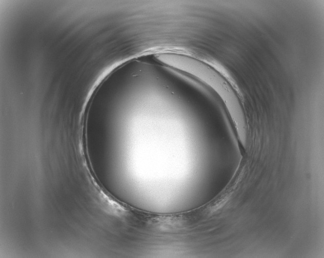 X0000060761102200512011507