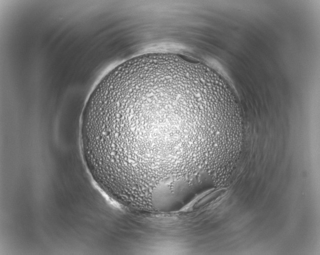 X0000060761103200512011507