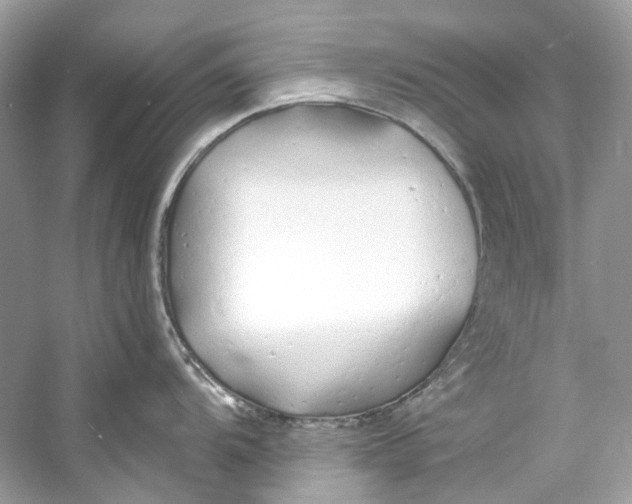 X0000060761104200512011507