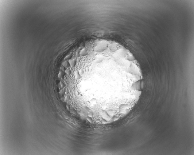 X0000060761105200512011506